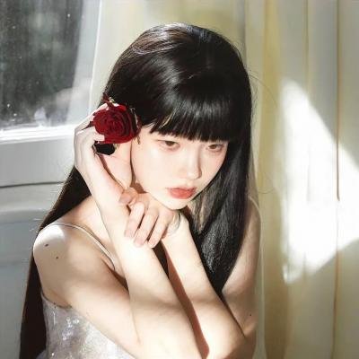 盗影谜情